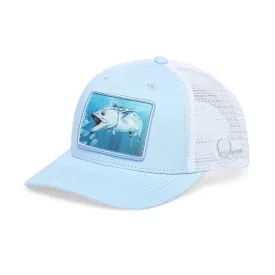 Qassar Performance Cap - Kingfish Blue