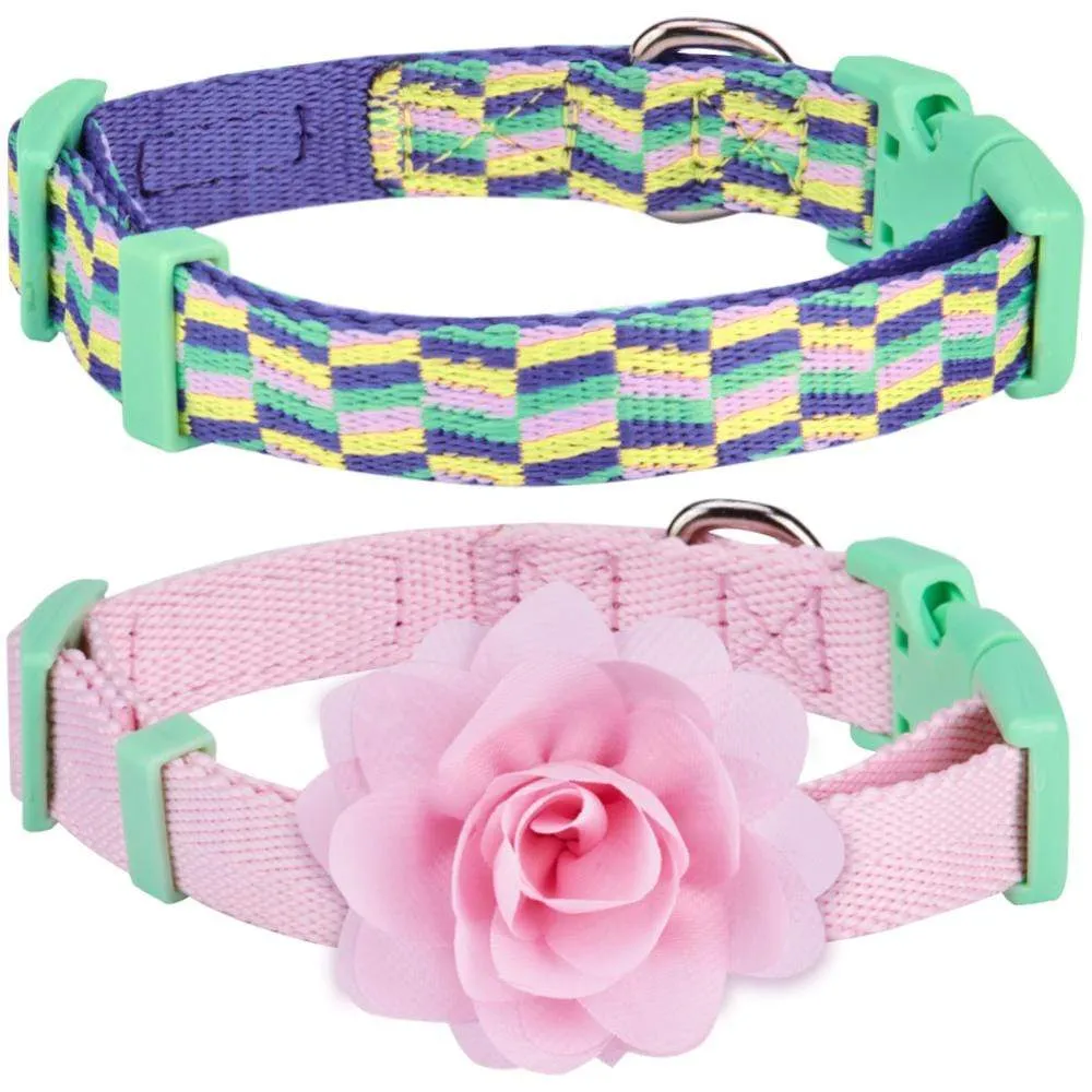 The Mix and Match Designer Dog Collar