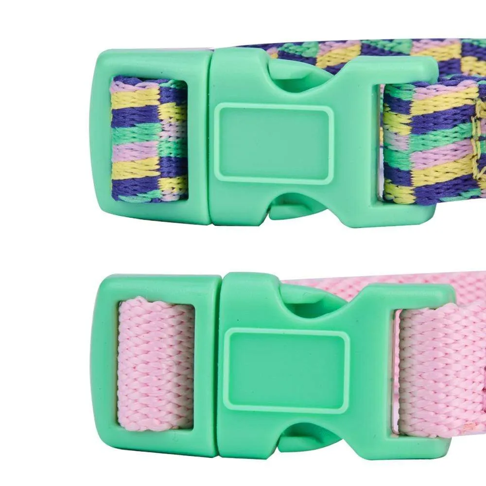 The Mix and Match Designer Dog Collar