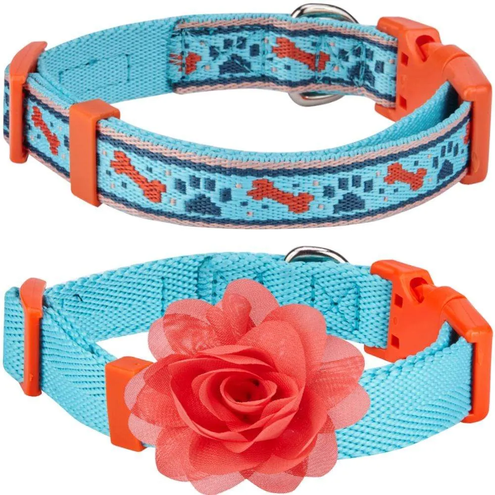 The Mix and Match Designer Dog Collar