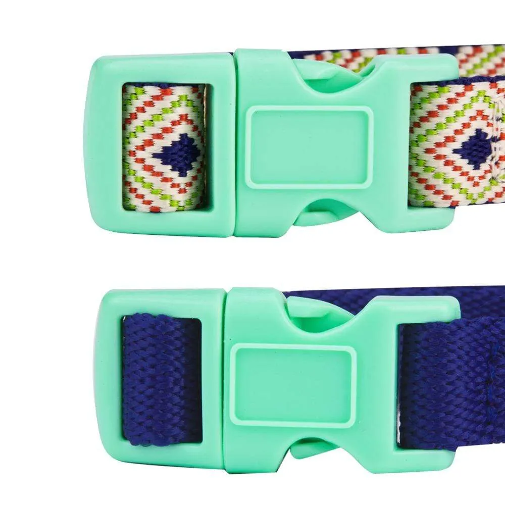 The Mix and Match Designer Dog Collar